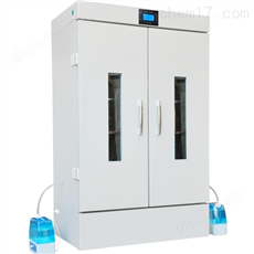 RXZ-1000C人工气候箱